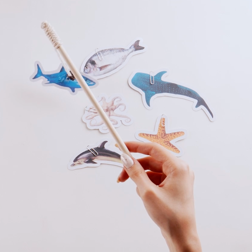 Exploring Water Animals