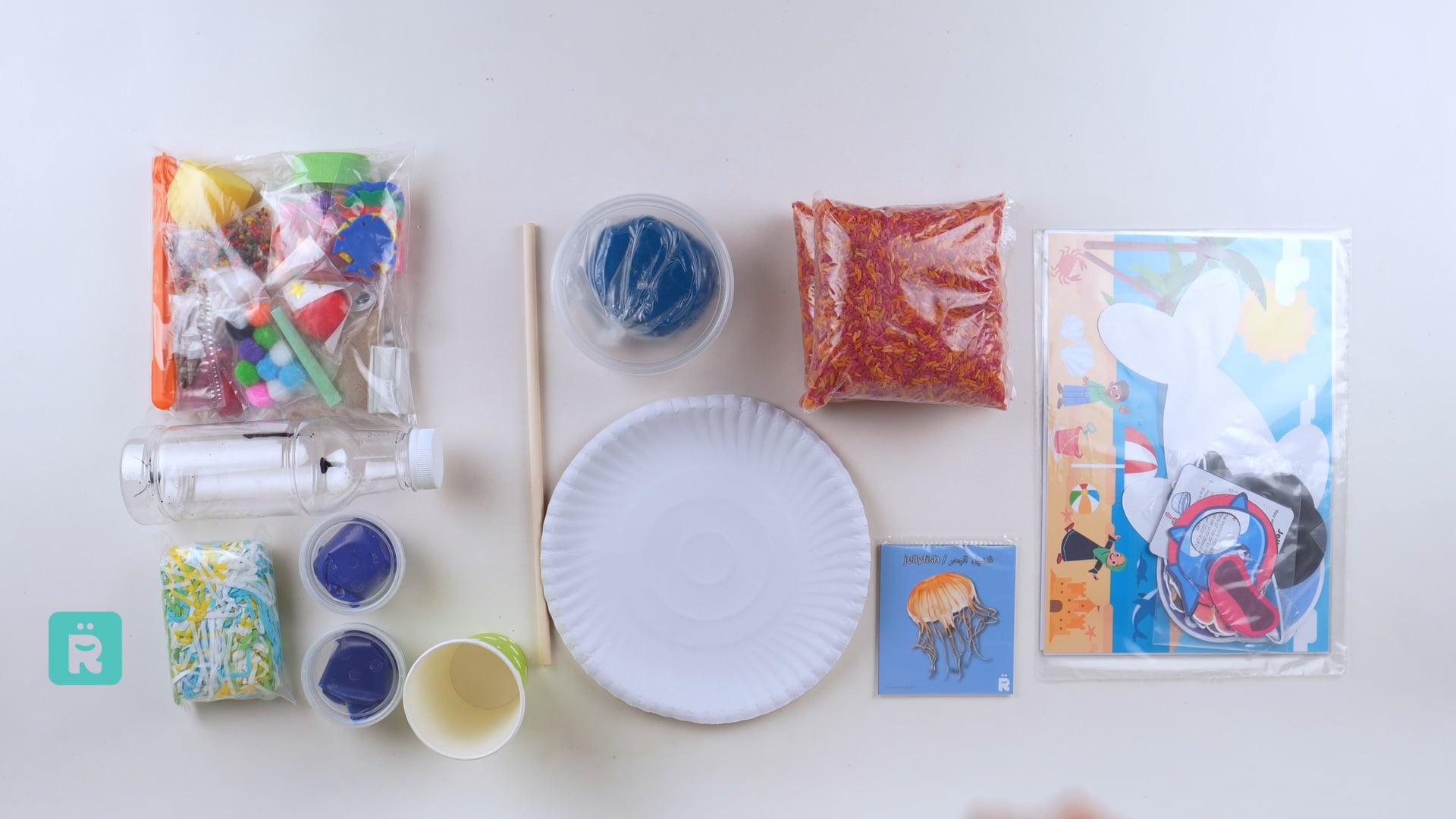 Discovering Sea Animals