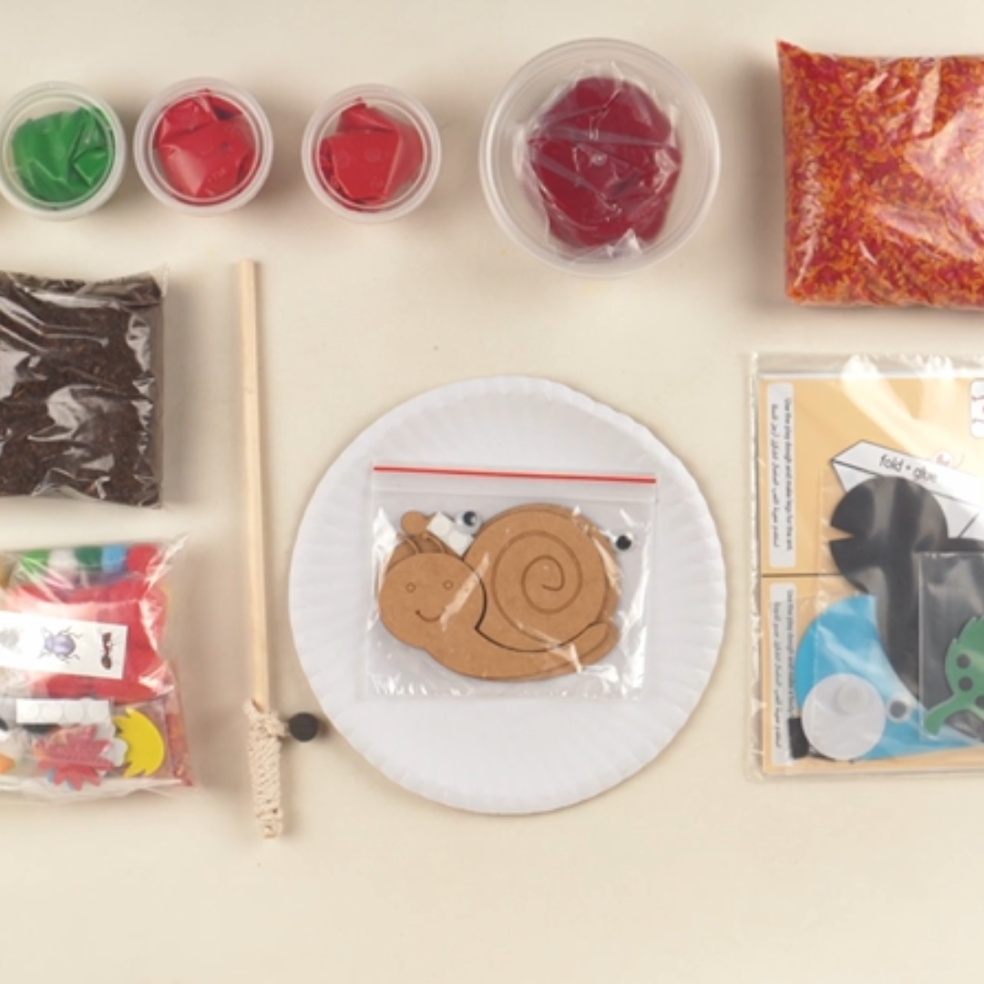 Bugs and Crawly Creatures