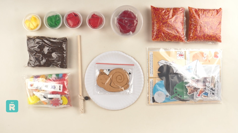 Bugs and Crawly Creatures