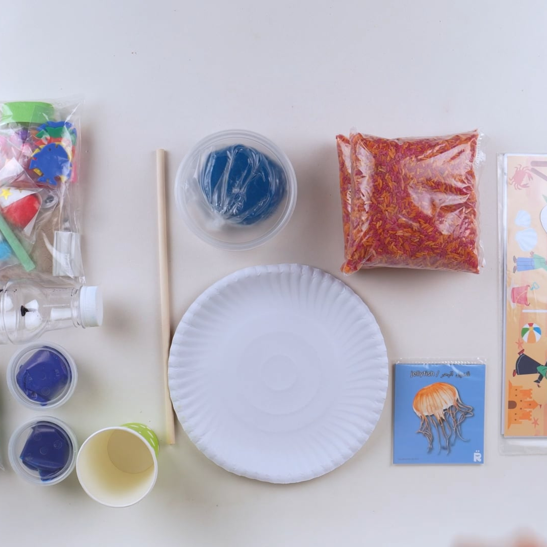 Discovering Sea Animals